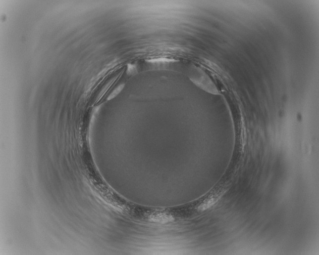 X0000056330258200509092335