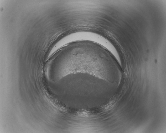 X0000056330259200509092335