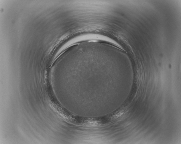 X0000056330260200509092335