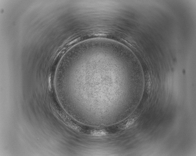 X0000056330262200509092336