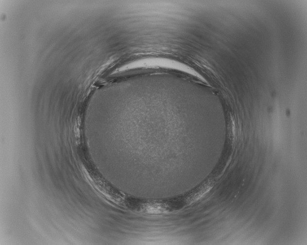 X0000056330264200509092336