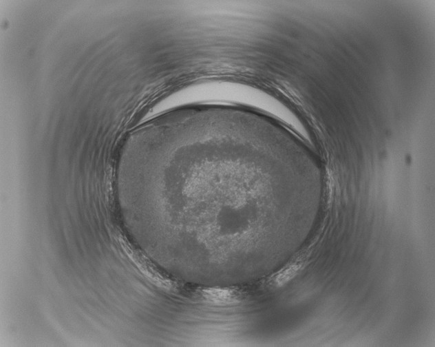 X0000056330265200509092336