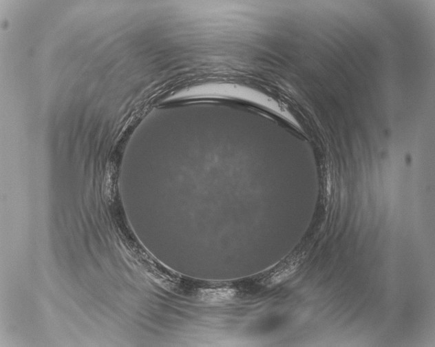 X0000056330266200509092336