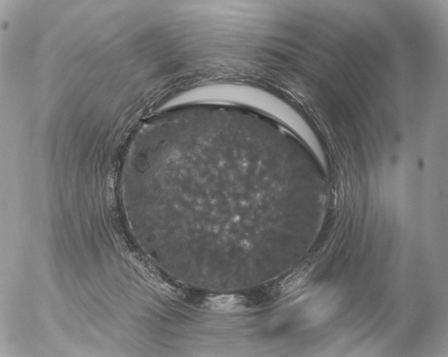 X0000056330269200509092336