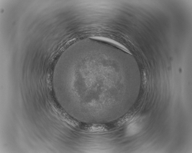 X0000056330270200509092336