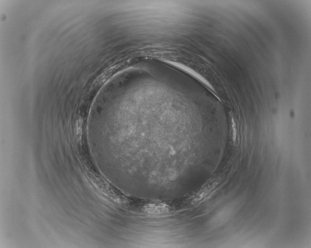 X0000056330271200509092336