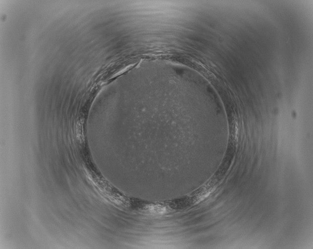 X0000056330272200509092336