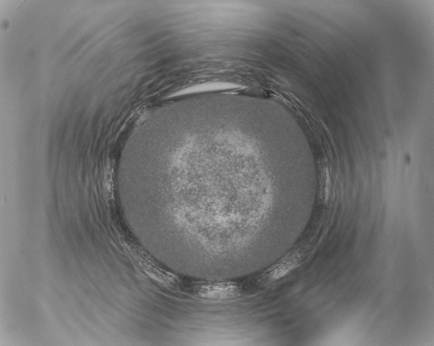 X0000056330274200509092336