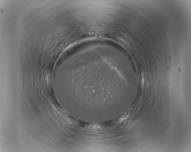 X0000056330276200509092336