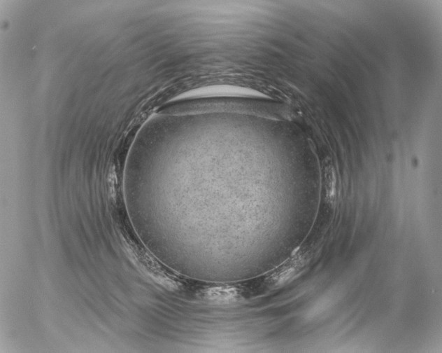 X0000056330279200509092336