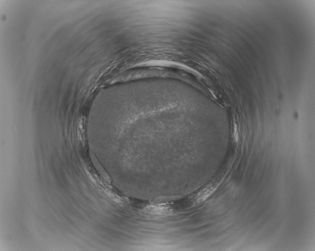 X0000056330280200509092336