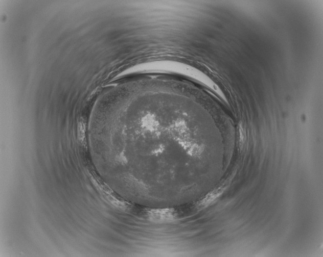 X0000056330281200509092336