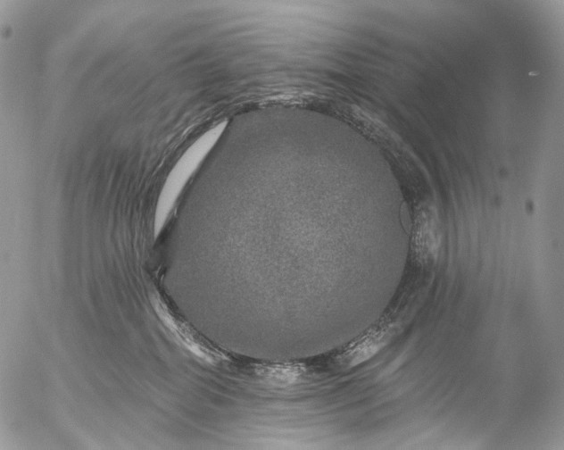 X0000056330282200509092336