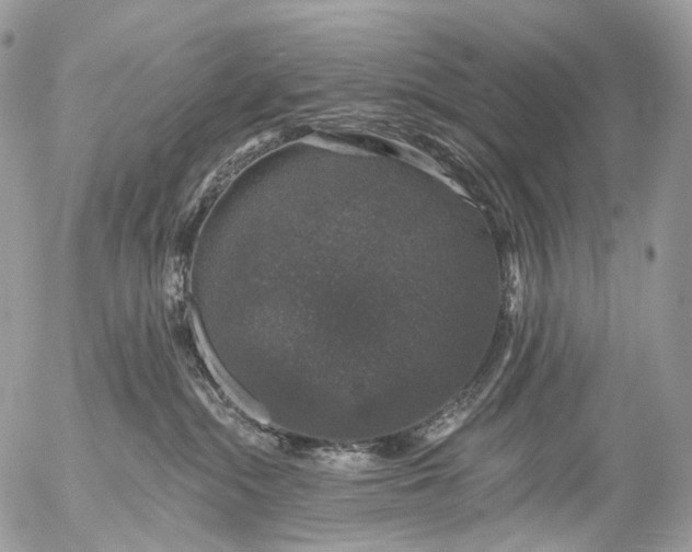 X0000056330284200509092336