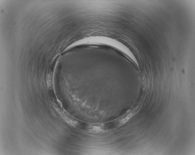 X0000056330285200509092336