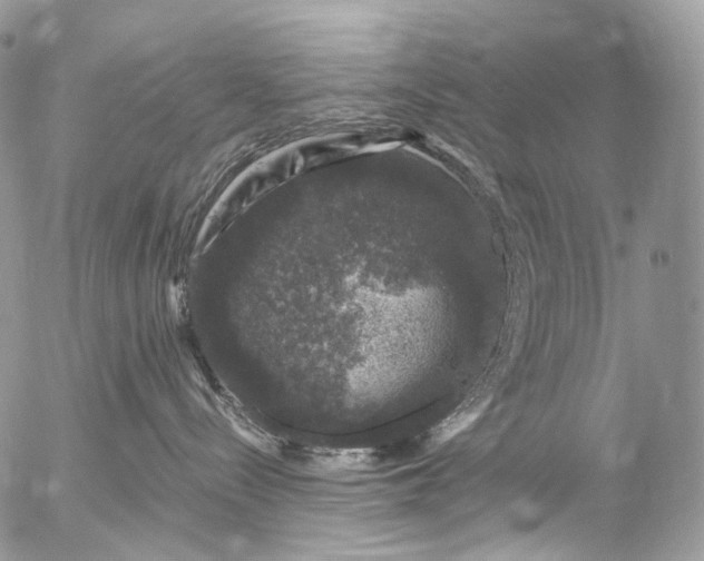 X0000056330288200509092336