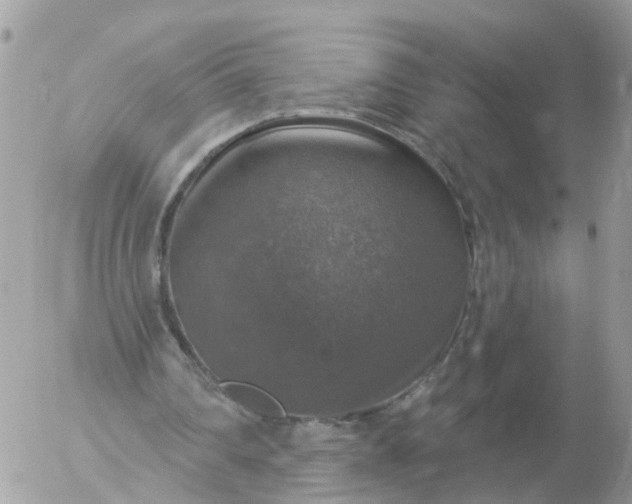 X0000056330290200509092335