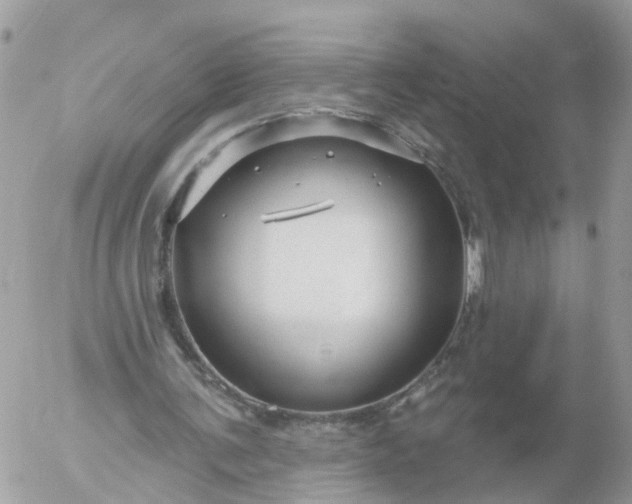 X0000056330291200509092335