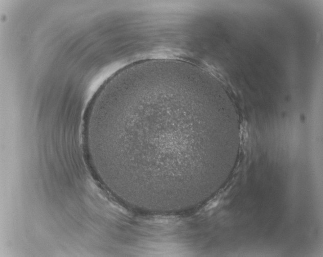 X0000056330292200509092335