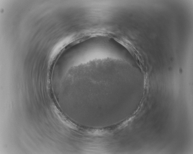 X0000056330293200509092335