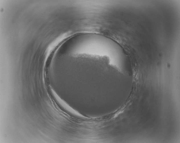 X0000056330294200509092335