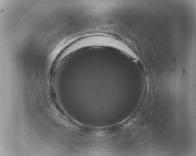 X0000056330295200509092335