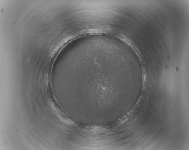 X0000056330297200509092335