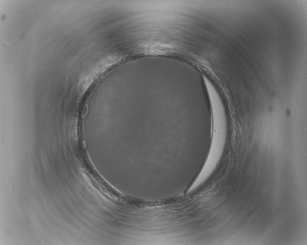 X0000056330299200509092335