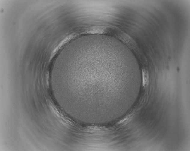 X0000056330300200509092335