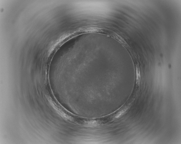 X0000056330301200509092335