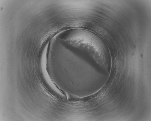 X0000056330303200509092335