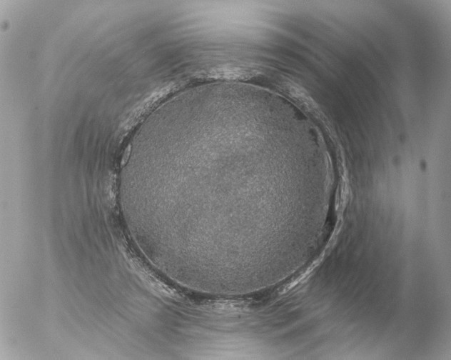 X0000056330305200509092335