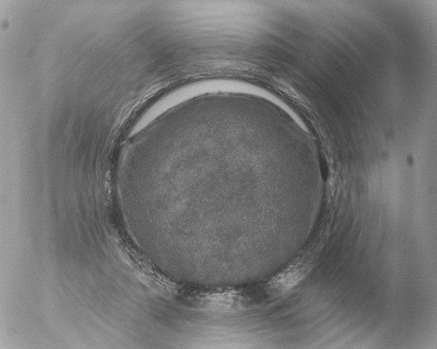 X0000056330306200509092335