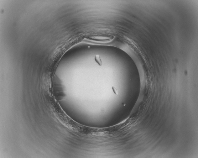 X0000056330307200509092335