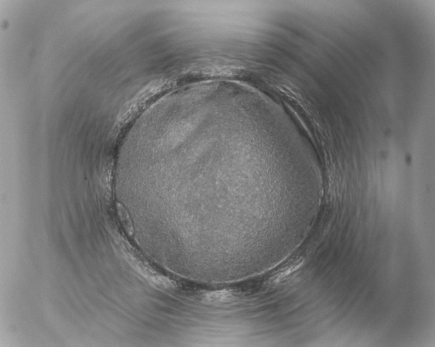 X0000056330309200509092335