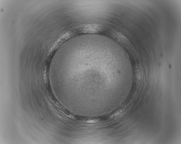 X0000056330312200509092335