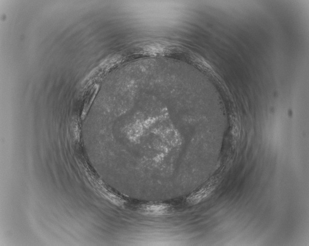 X0000056330313200509092335