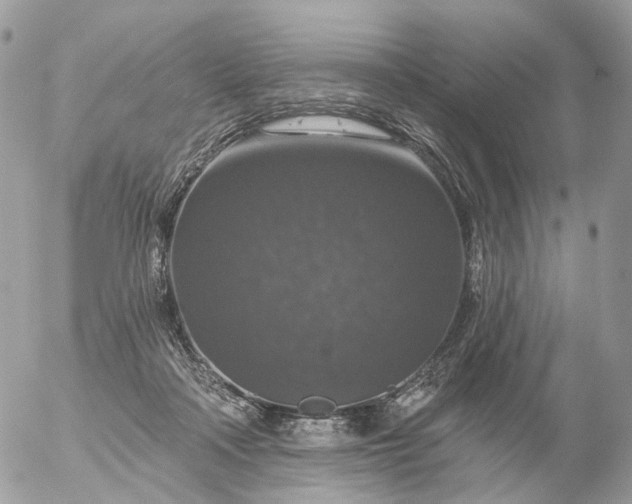 X0000056330314200509092335