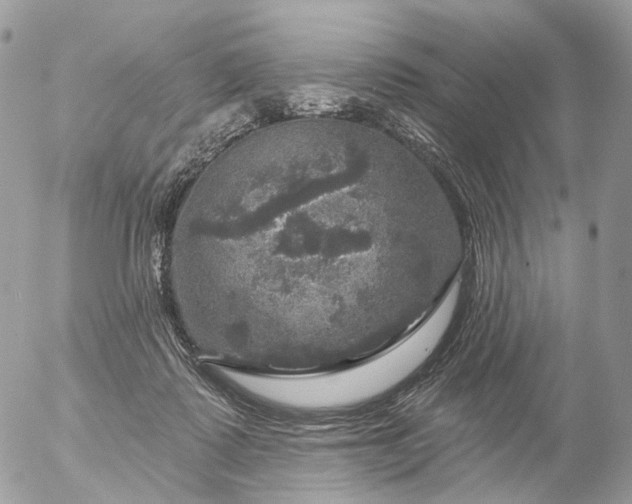 X0000056330315200509092335