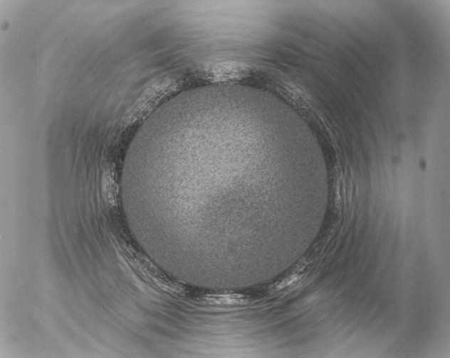 X0000056330316200509092335