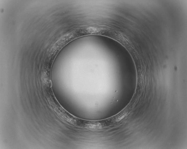 X0000056330317200509092335