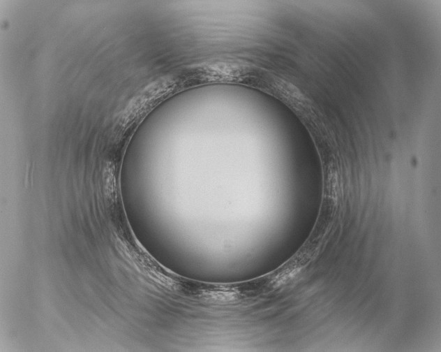 X0000056330318200509092335