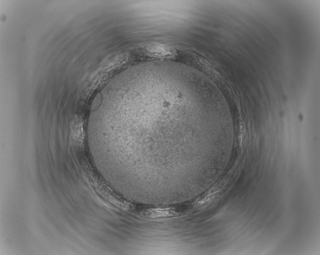 X0000056330320200509092335