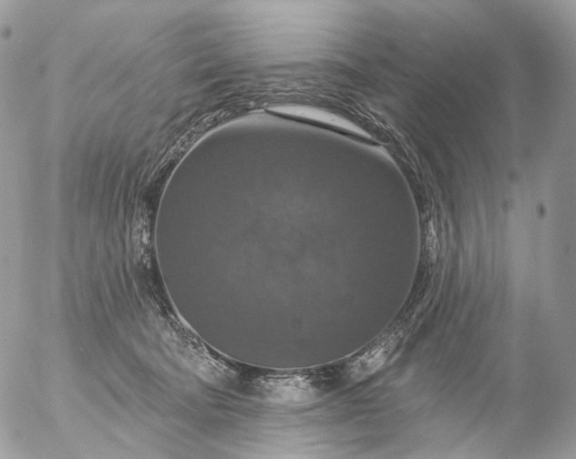 X0000056330322200509092335