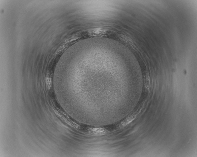 X0000056330324200509092335