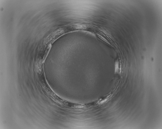 X0000056330325200509092335