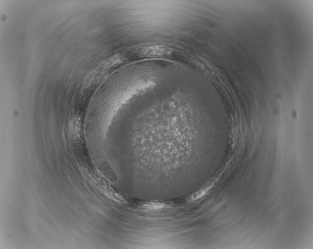 X0000056330326200509092335