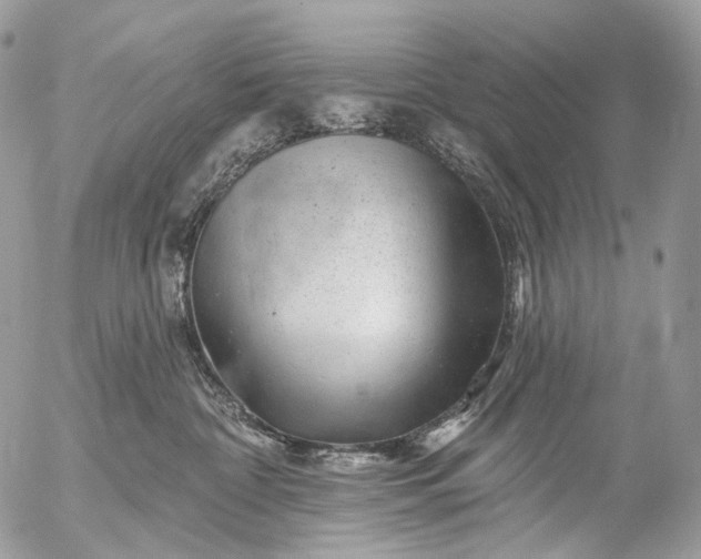 X0000056330332200509092334