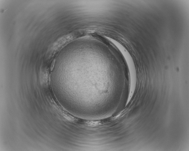 X0000056330333200509092334