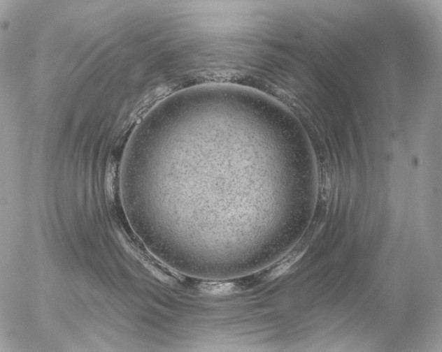 X0000056330334200509092334